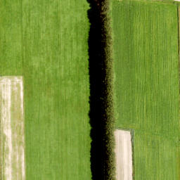 Satellite imagery of Zuidewijn, NL