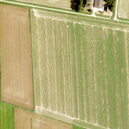 Satellite imagery of Zuidewijn, NL