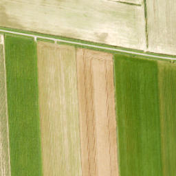 Satellite imagery of Zuidewijn, NL