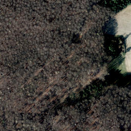 Satellite imagery of Brunsberg, DE