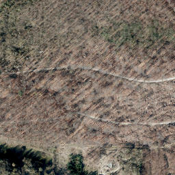 Satellite imagery of Bellerburg, DE