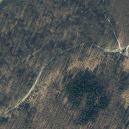 Satellite imagery of Wennebühl, DE