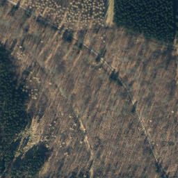 Satellite imagery of Großer Steinberg, DE