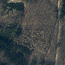 Satellite imagery of Großer Steinberg, DE