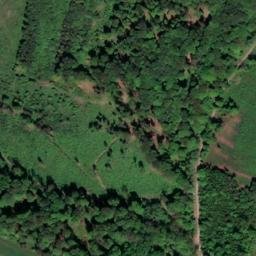 Satellite imagery of Büchenberg, DE