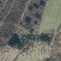 Satellite imagery of Hackelberg, DE