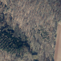 Satellite imagery of Moosberg, DE