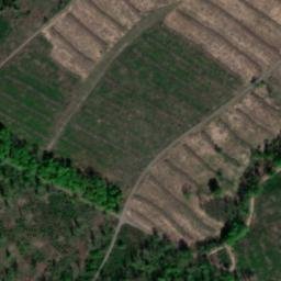 Satellite imagery of Mittelberg, DE