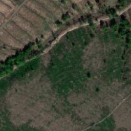 Satellite imagery of Mittelberg, DE