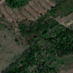 Satellite imagery of Mittelberg, DE