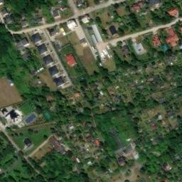 Satelita