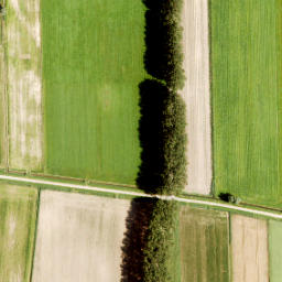 Satellite imagery of Zuidewijn, NL