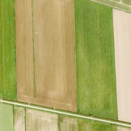 Satellite imagery of Zuidewijn, NL