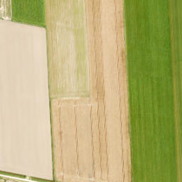 Satellite imagery of Zuidewijn, NL
