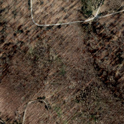 Satellite imagery of Löwenberg, DE