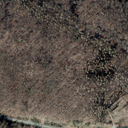 Satellite imagery of Brunsberg, DE
