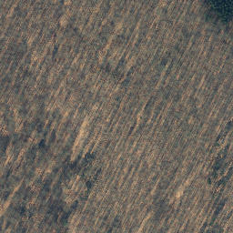 Satellite imagery of Schinkelberg, DE