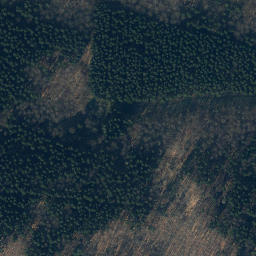 Satellite imagery of Schönenberg, DE