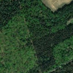 Satellite imagery of Dummberg, DE