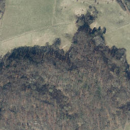 Satellite imagery of Beierstein, DE