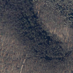 Satellite imagery of Langfast, DE