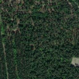 Satellite imagery of Dummberg, DE