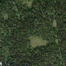 Satellite imagery of Grizzly Cub Mountain, CA