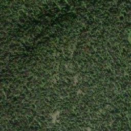 Satellite imagery of Grizzly Cub Mountain, CA