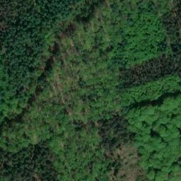 Satellite imagery of Dummberg, DE