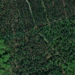 Satellite imagery of Dummberg, DE