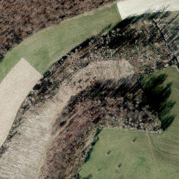 Satellite imagery of Wiehorn, DE