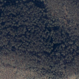 Satellite imagery of Großer Teichtalskopf, DE