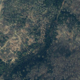 Satellite imagery of Beißemberg, DE