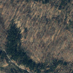 Satellite imagery of Große Streitrodt, DE