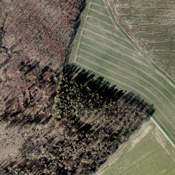 Satellite imagery of Wiehorn, DE