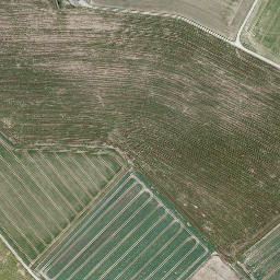 Satellite imagery of Wiehorn, DE