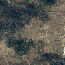 Satellite imagery of Große Streitrodt, DE