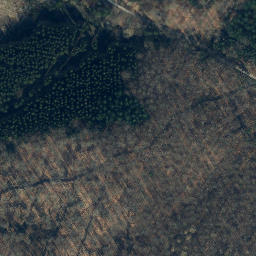 Satellite imagery of Große Streitrodt, DE