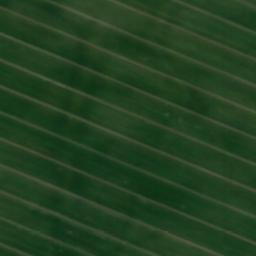 Satellite imagery of Birkenberg, DE