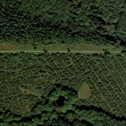 Satellite imagery of Chepstow Park Wood Earthwork, GB