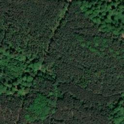 Satellite imagery of Wurzelberg, DE