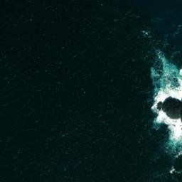 Satellite imagery of Cods Head, IE