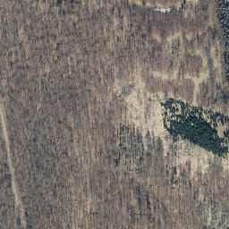 Satellite imagery of Zieglerskopf, DE