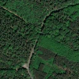 Satellite imagery of Wurzelberg, DE