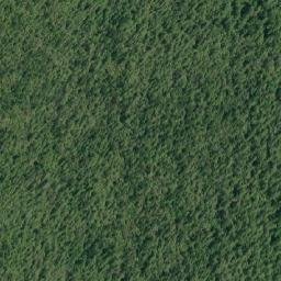 Satellite imagery of Guise Point, CA