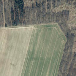 Satellite imagery of Hagenberg, DE