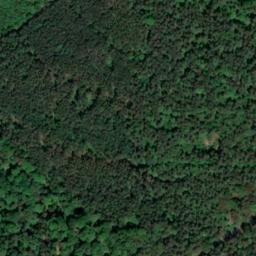 Satellite imagery of Wurzelberg, DE