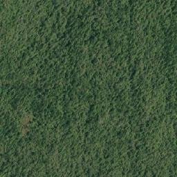 Satellite imagery of Guise Point, CA