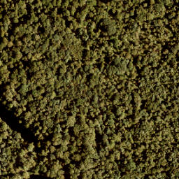 Satellite imagery of Fusilladeplaats Kamp Vught met Monument, NL