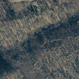 Satellite imagery of Moosberg, DE